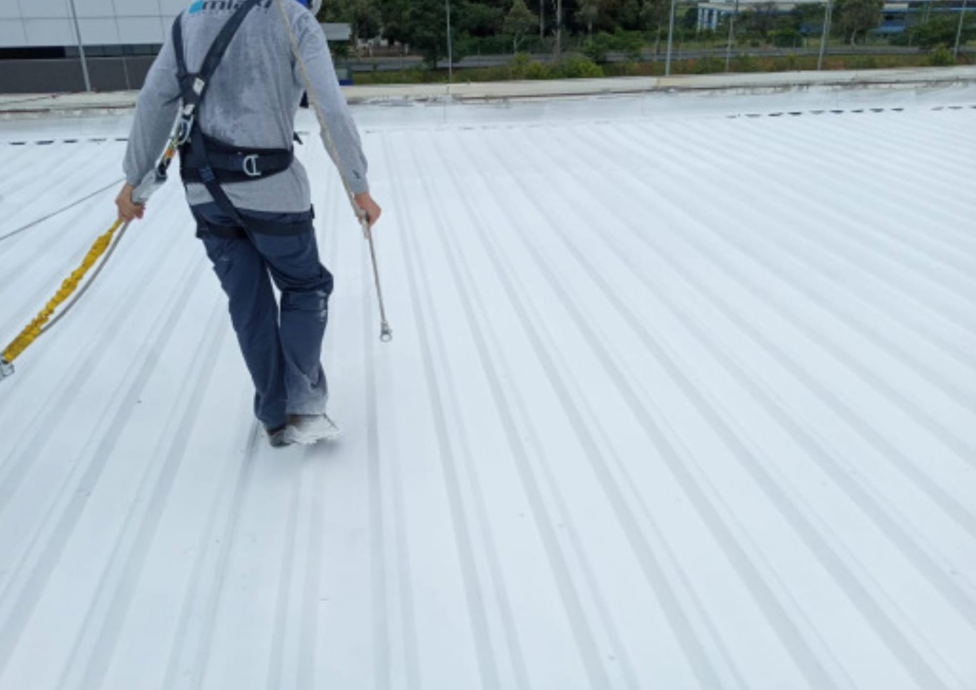 Aplicação do MK Therm em todo o telhado (2ª demão)